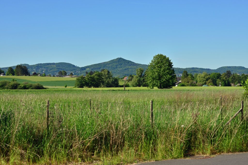 Grundstück