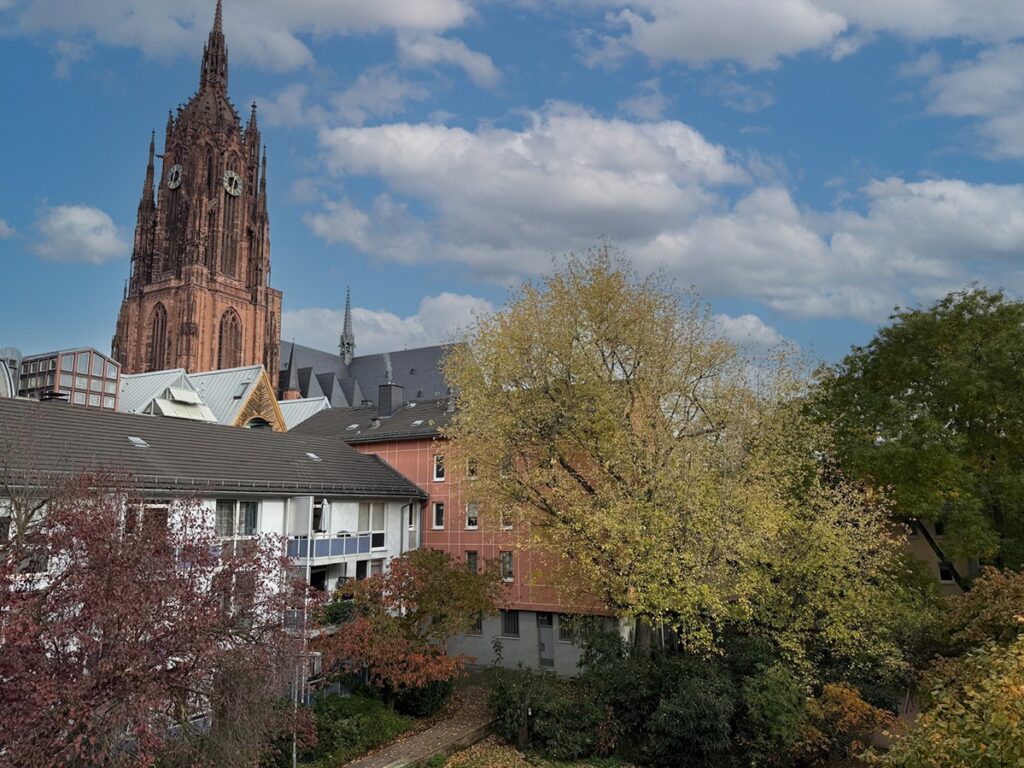 Domblick vom Zimmer 3