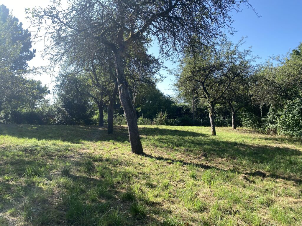 Foto der Immobilie (196632)