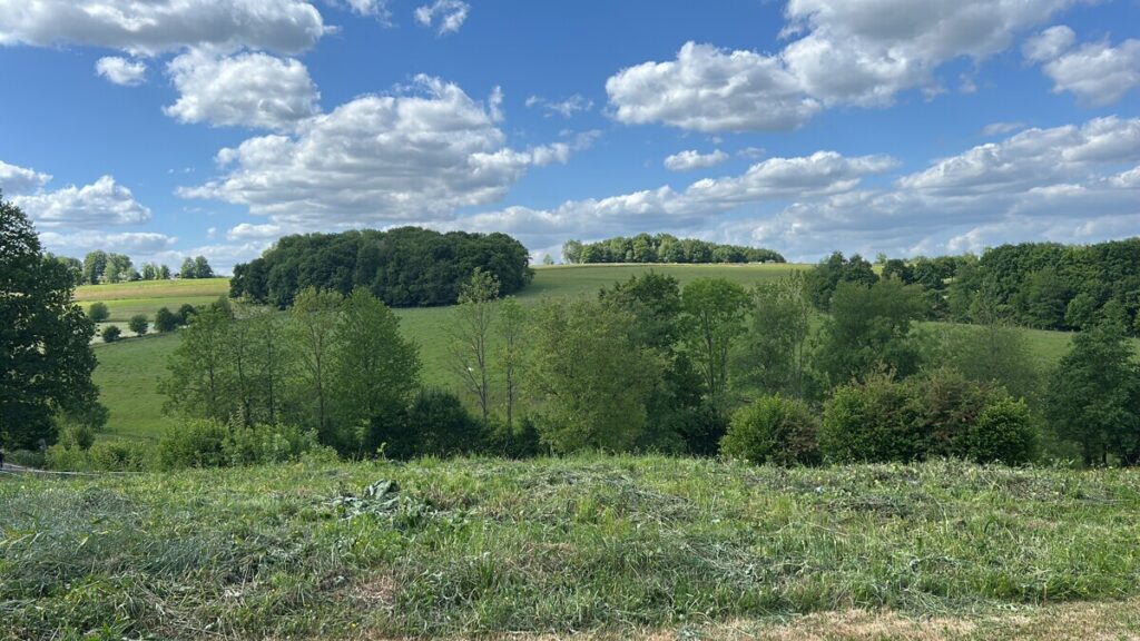 Foto der Immobilie (215816)