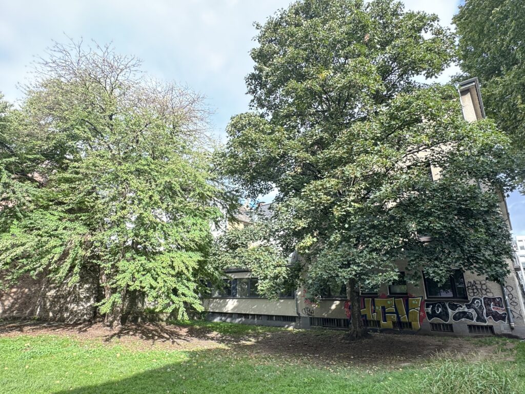 Foto der Immobilie (205484)