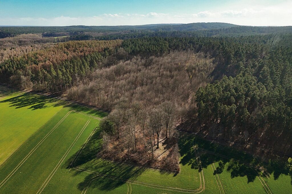 Luftaufnahme Gesamtareal