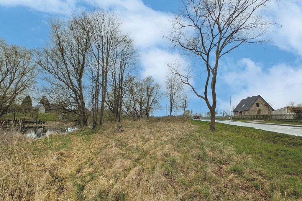 Blick auf das Grundstück