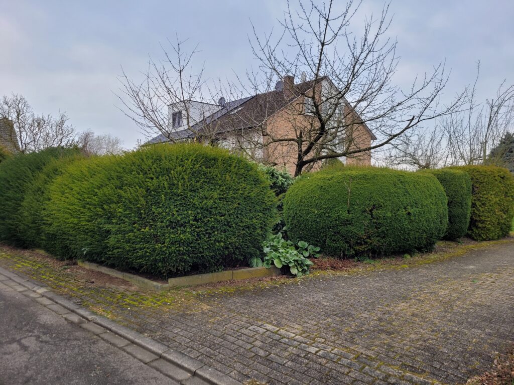 Foto der Immobilie (240261)