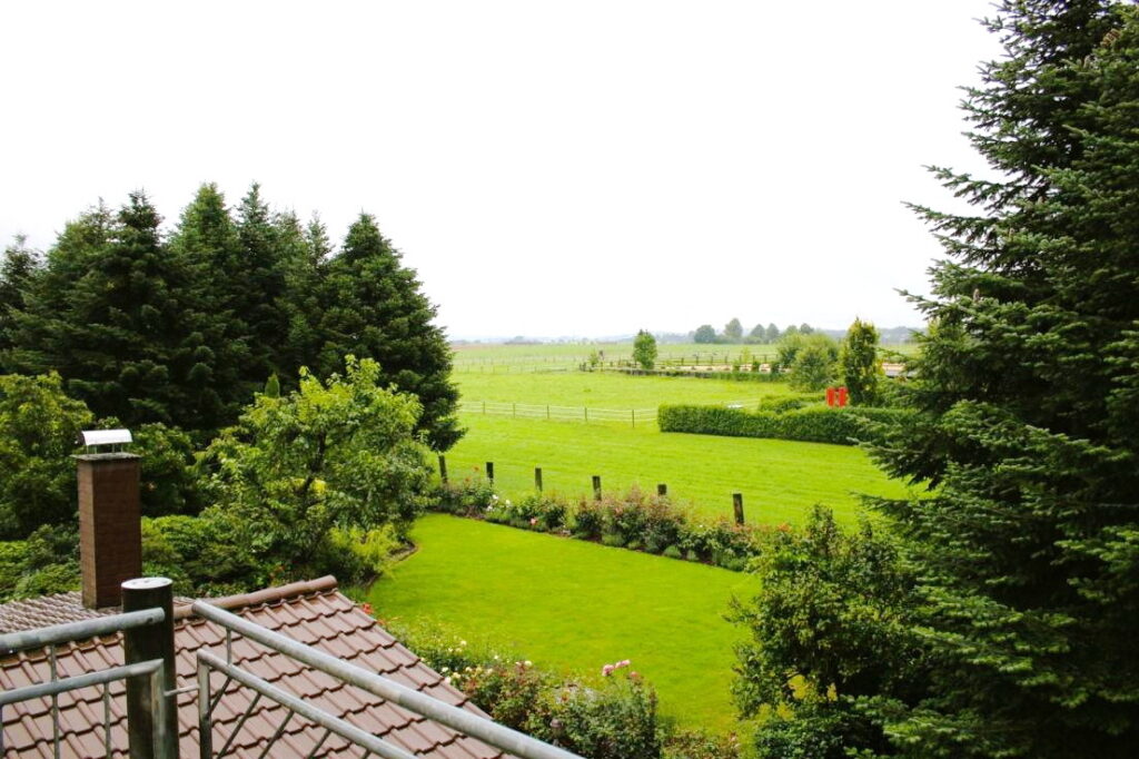 Aussicht vom Balkon