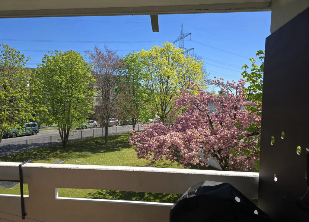 Ausblick von Loggia