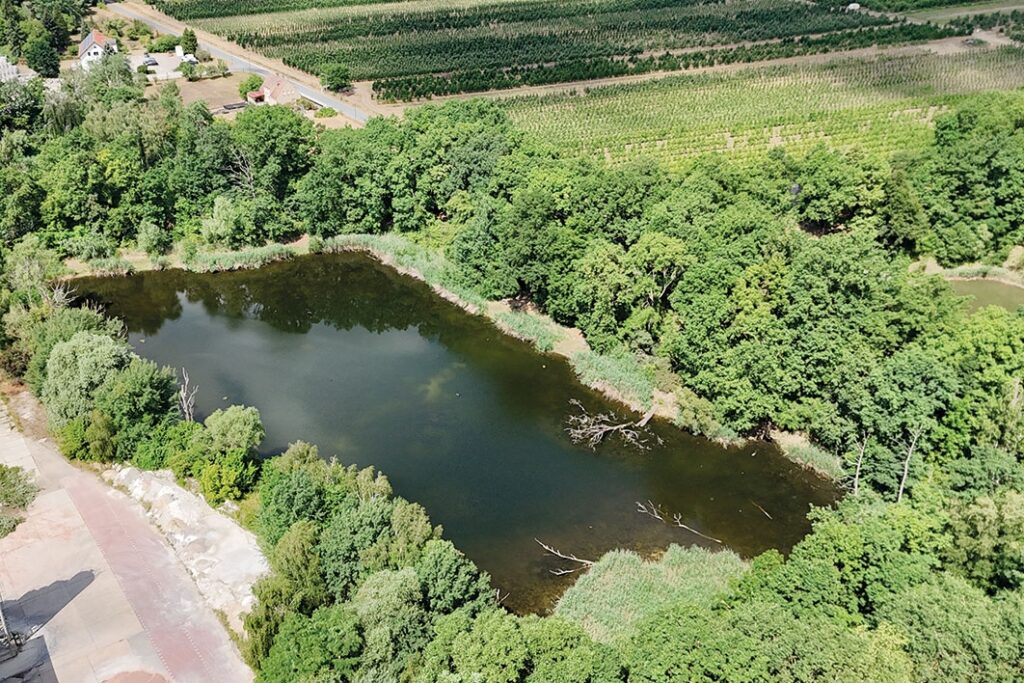 Luftbild des Sees