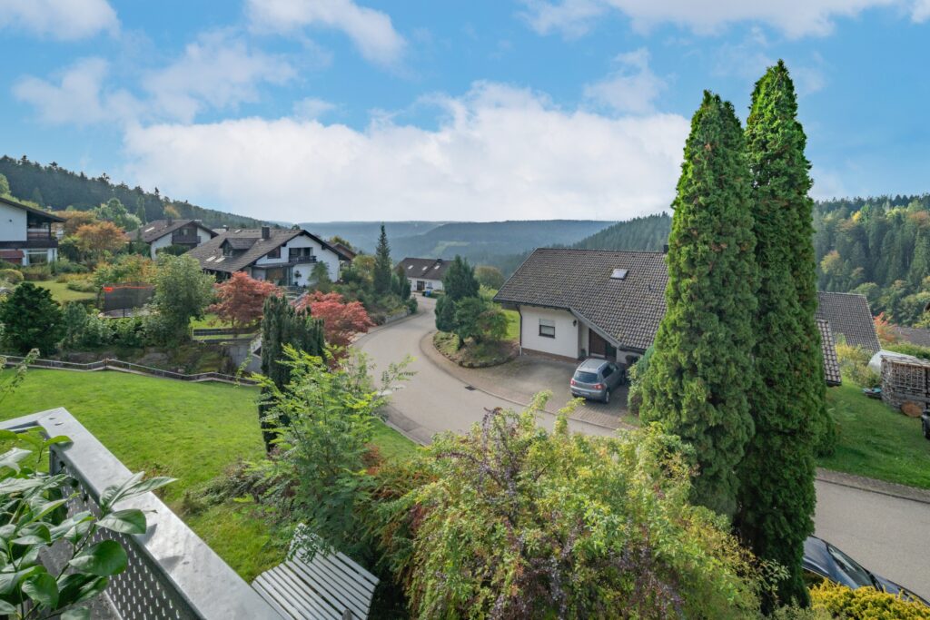 Ausblick