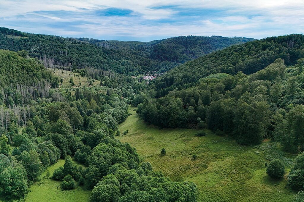 Blickrichtung Osten