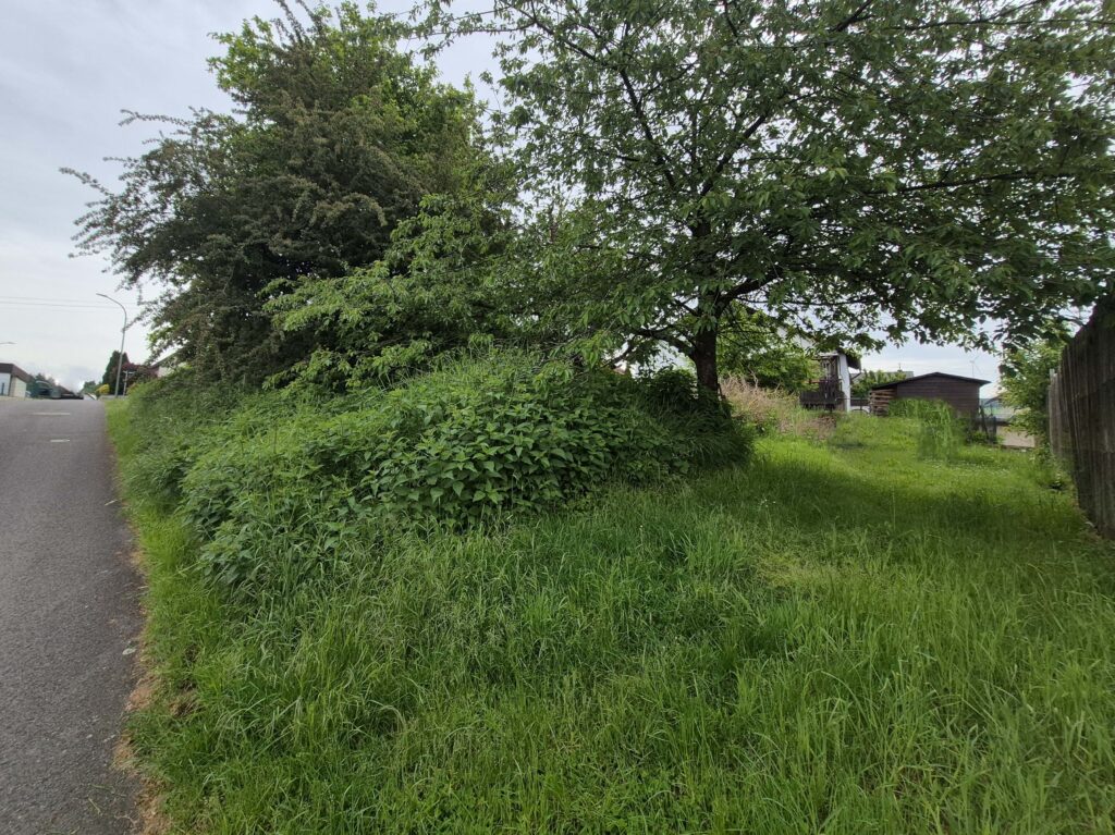 Foto der Immobilie (346910)