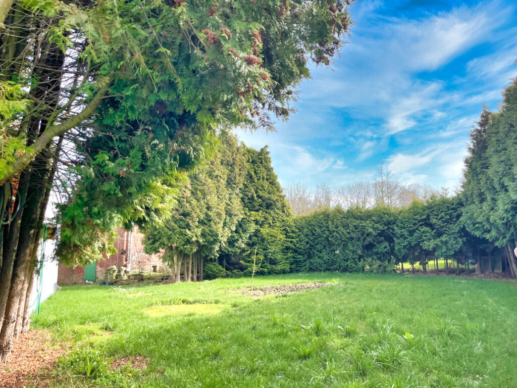 Teilans. Garten